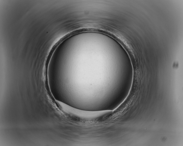 X0000098220791200805011233