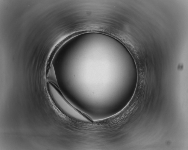 X0000098220792200805011233