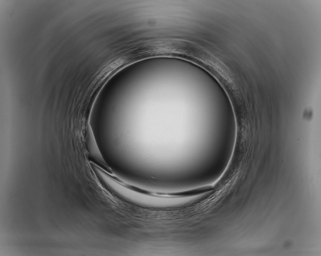 X0000098220793200805011233