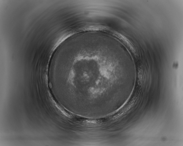 X0000098220794200805011233