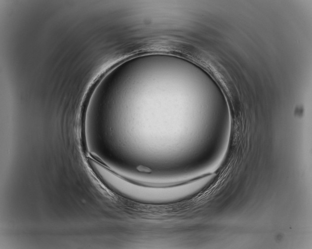 X0000098220795200805011233