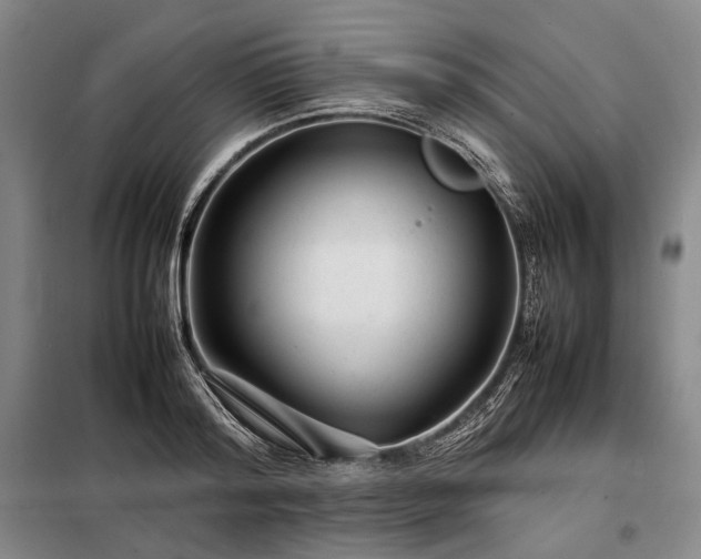 X0000098220796200805011233