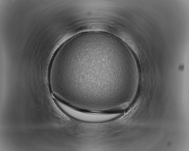 X0000098220797200805011233