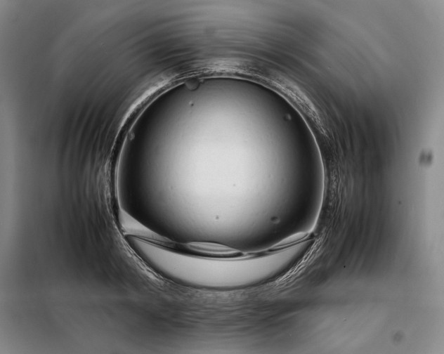 X0000098220798200805011233