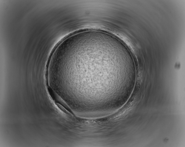 X0000098220799200805011233