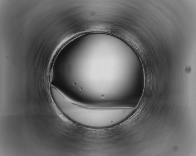 X0000098220800200805011233