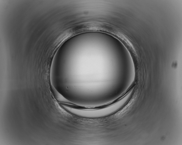 X0000098220801200805011233