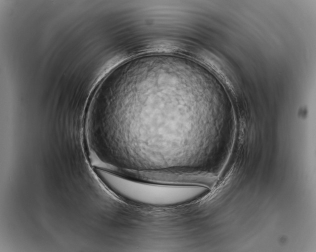 X0000098220802200805011233