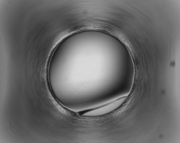 X0000098220803200805011233