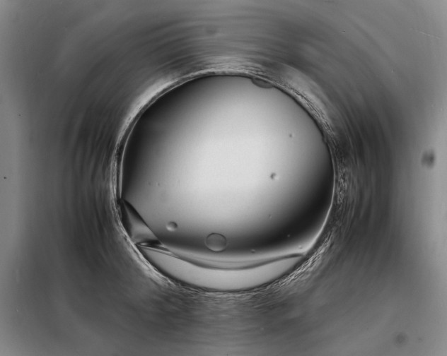 X0000098220804200805011233