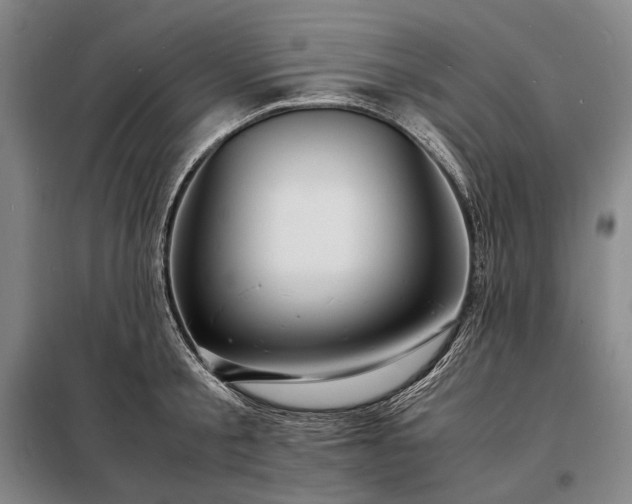 X0000098220805200805011233