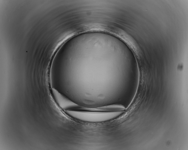 X0000098220806200805011233