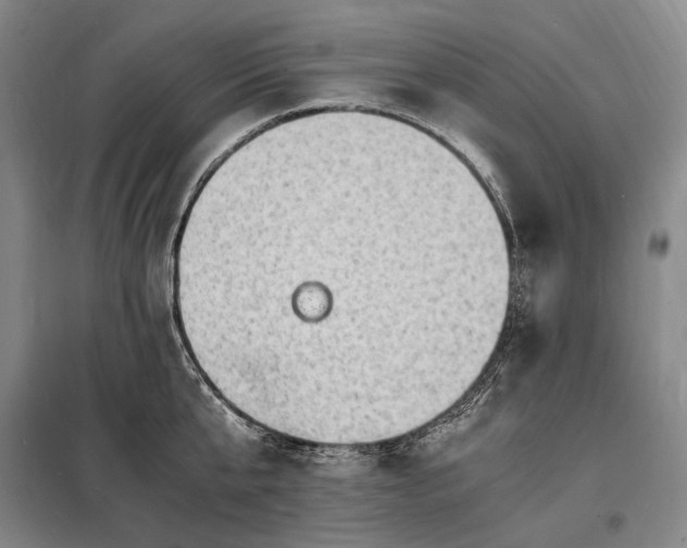 X0000098220807200805011233