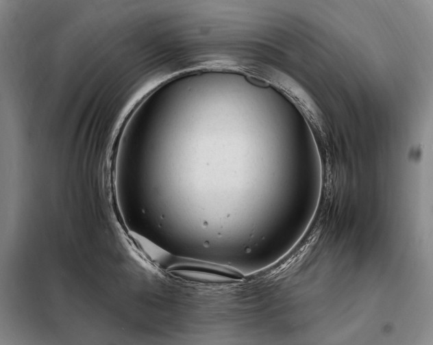 X0000098220808200805011233