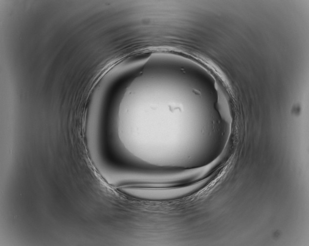 X0000098220809200805011233