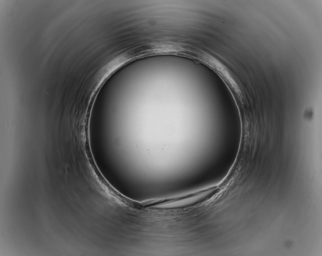 X0000098220810200805011233