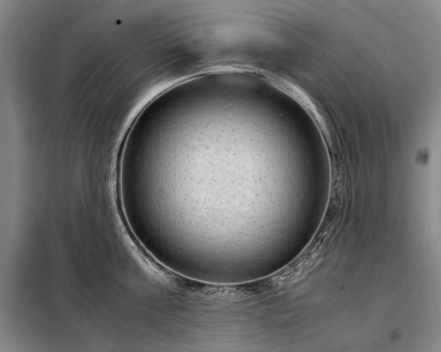 X0000098220811200805011233