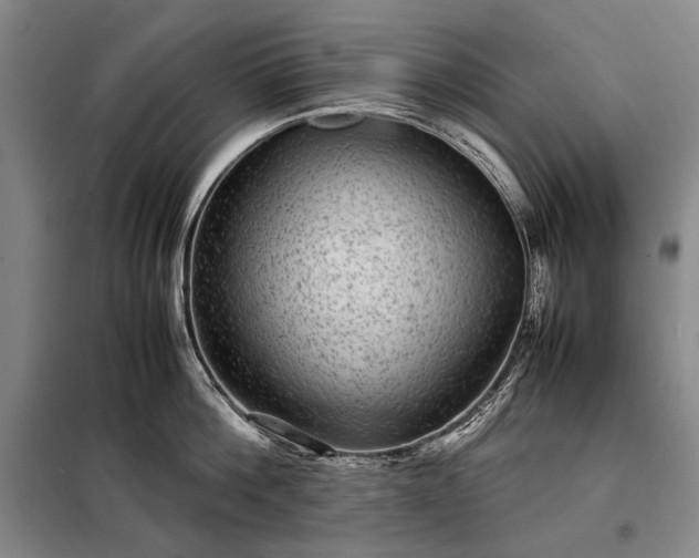 X0000098220812200805011233