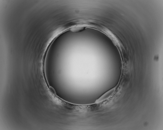 X0000098220813200805011233