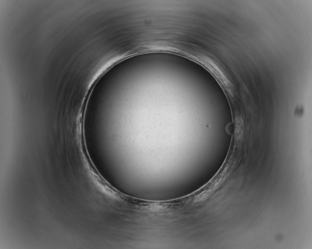 X0000098220814200805011233