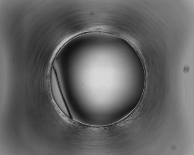 X0000098220816200805011233