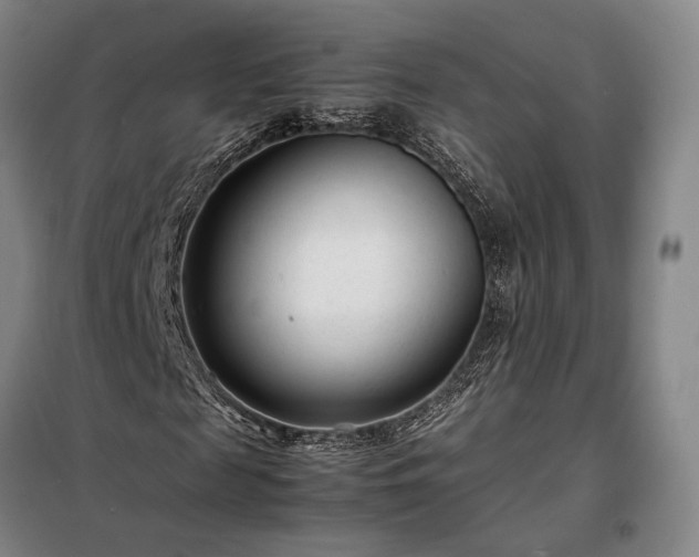 X0000098220817200805011232