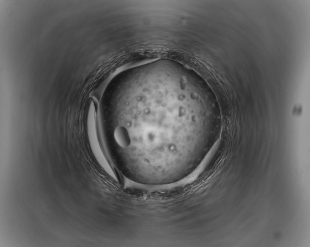 X0000098220818200805011232