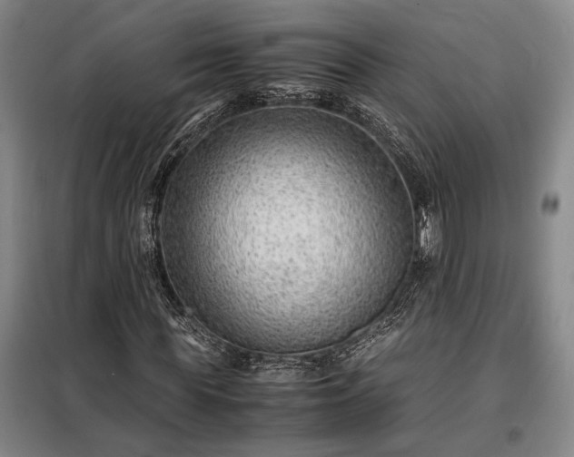 X0000098220819200805011232