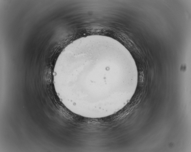 X0000098220820200805011232