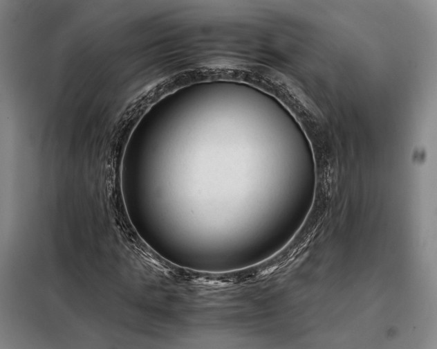 X0000098220821200805011232