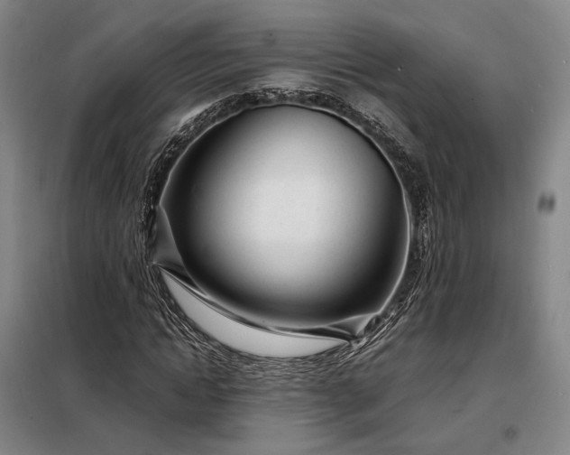 X0000098220822200805011232