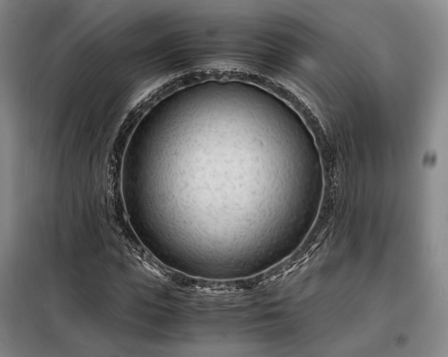 X0000098220823200805011232