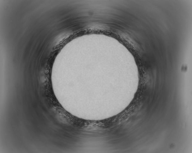 X0000098220824200805011232