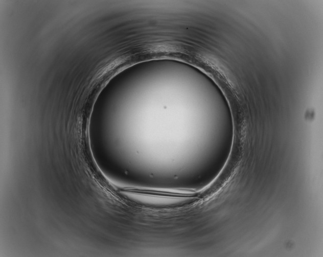 X0000098220825200805011232