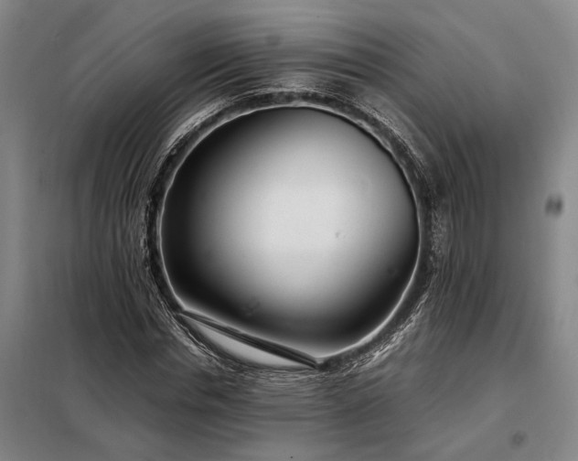 X0000098220826200805011232