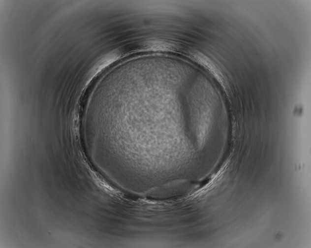 X0000098220827200805011232