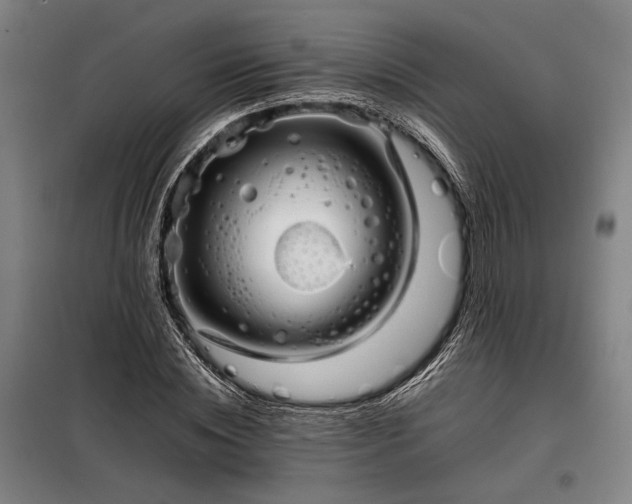 X0000098220828200805011232