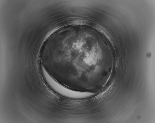 X0000098220829200805011232