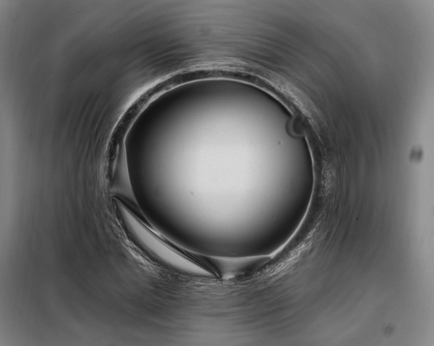 X0000098220830200805011232