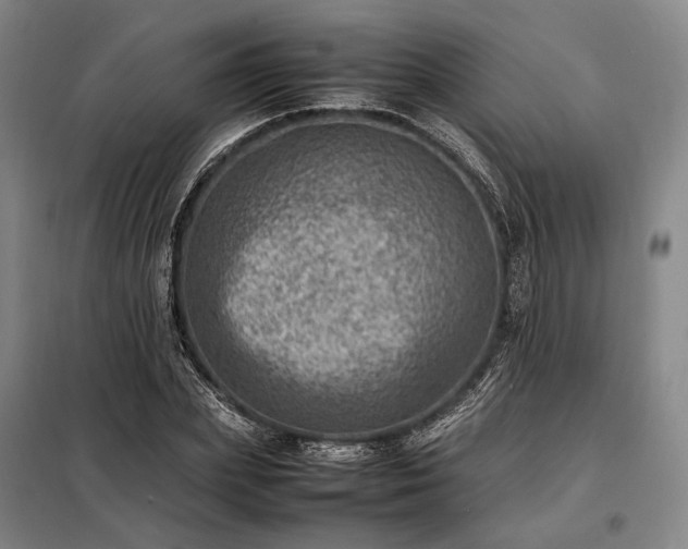 X0000098220831200805011232