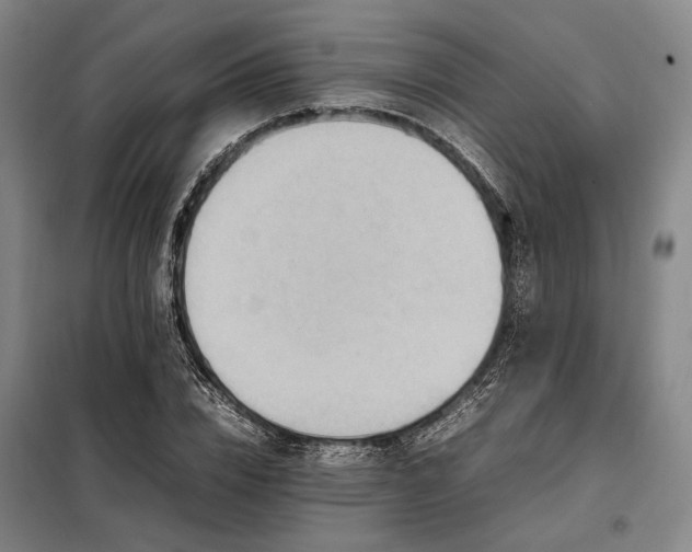 X0000098220832200805011232