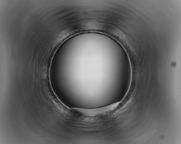 X0000098220833200805011232