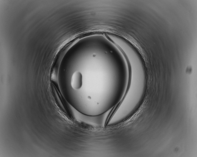 X0000098220834200805011232