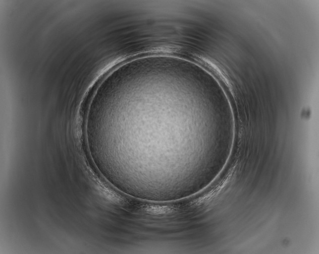 X0000098220835200805011232