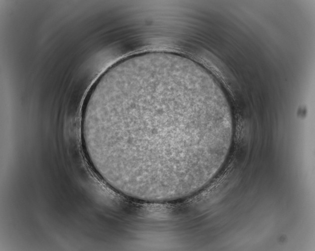 X0000098220836200805011232