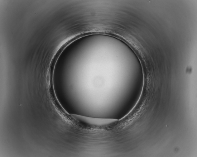 X0000098220838200805011232