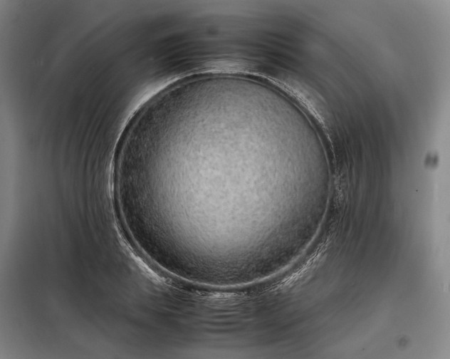 X0000098220839200805011232