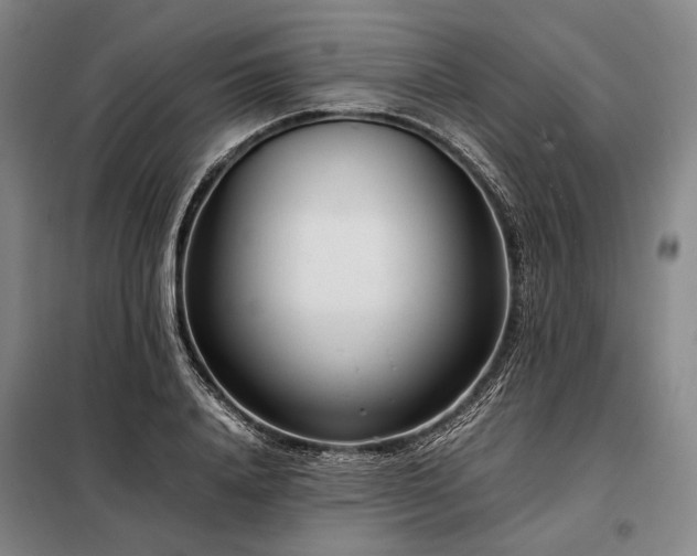 X0000098220840200805011232