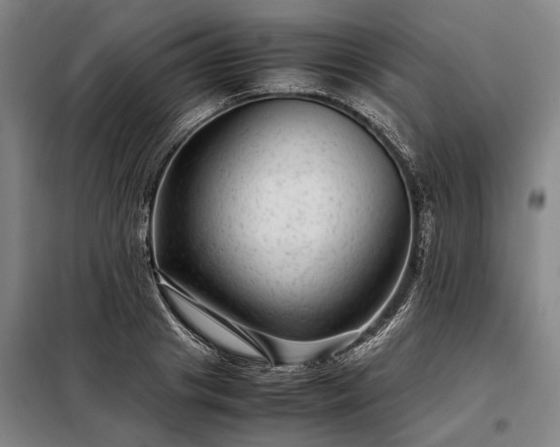 X0000098220841200805011232