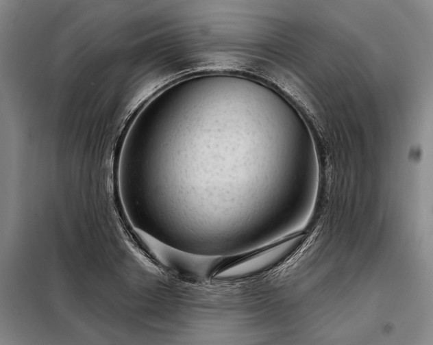 X0000098220842200805011232